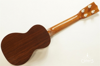 ECO-S - Spruce Top / Rosewood Side&Back